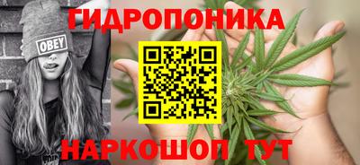 jwh Канаш